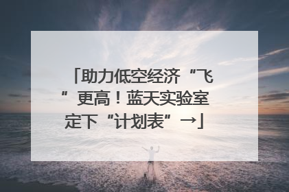 助力低空经济“飞”更高！蓝天实验室定下“计划表”→